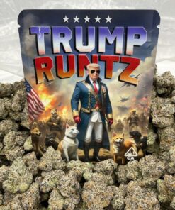 Buy Trump Runtz UK